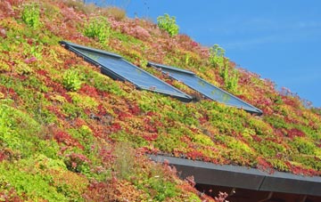 Pickles Hill living roof systems